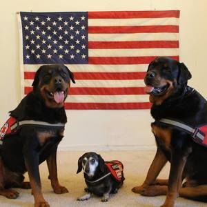 Meet your Posher, Norah